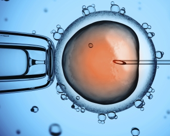 Sectional Committee 7: Cell Biology