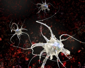 Sectional Committee 8: Multicellular organisms