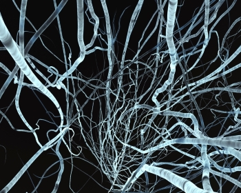 Research Grants Committee: Physical Sciences