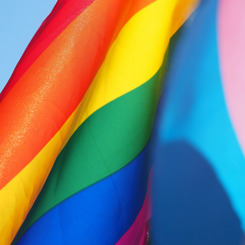 Pride Flag and Transgender flag