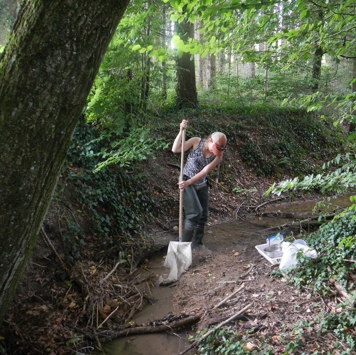 Female scientist conducting field work in a shallow river