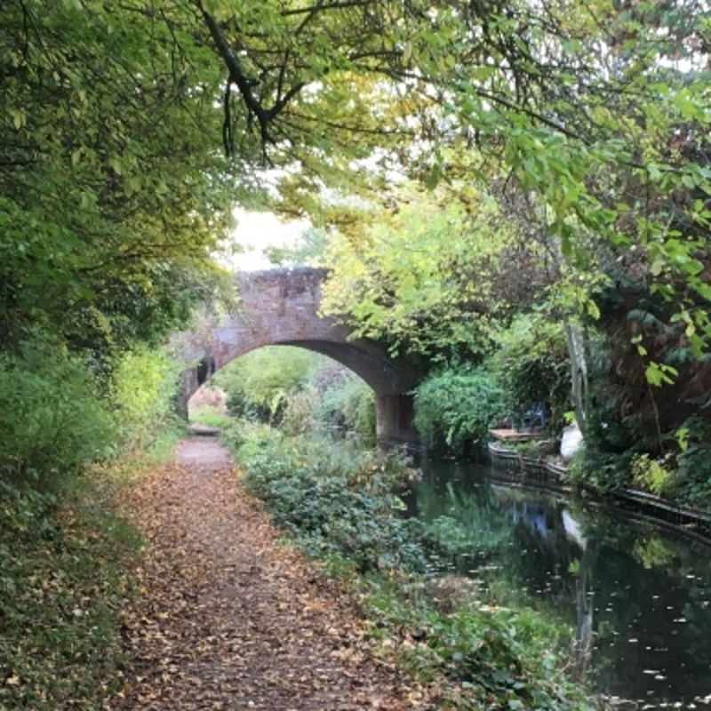 Swan Bridge over the Basingstoke Canal