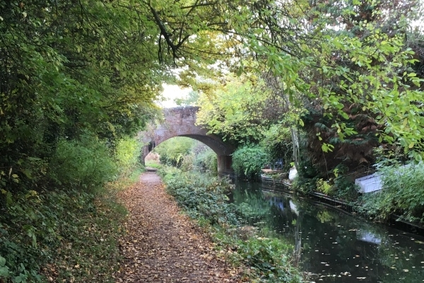 Swan Bridge over the Basingstoke Canal