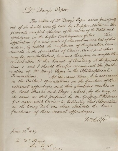 Referee report by W. Clift on 'On the Male Organs of Some of the Cartilaginous Fishes' by J. Davy, 1839. From The Royal Society, RR/1/53