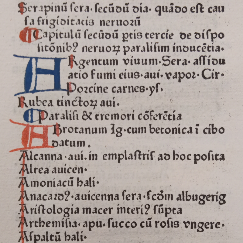 Page from Jacopo Dondi 'De medicinis' (detail)