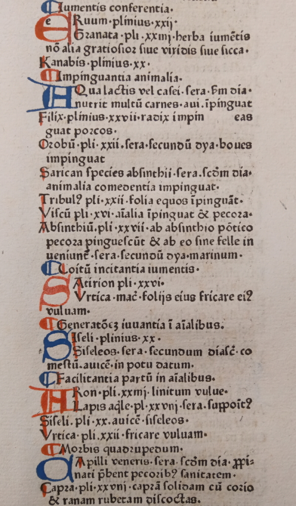 Page from Jacopo Dondi 'De medicinis' (detail)
