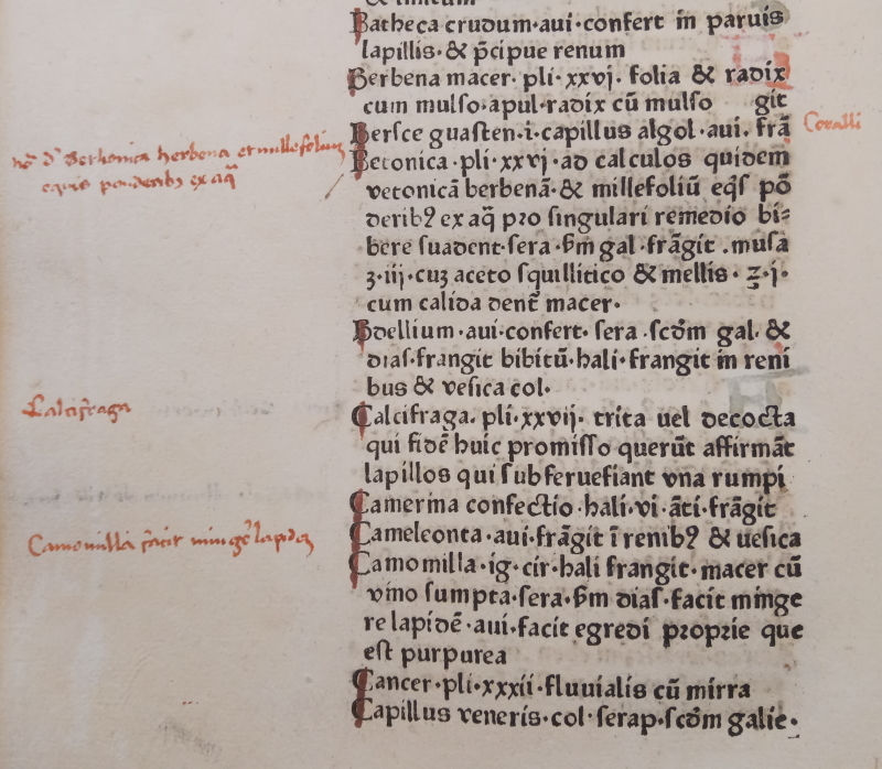 Page from Jacopo Dondi 'De medicinis', with marginal inscriptions (detail)