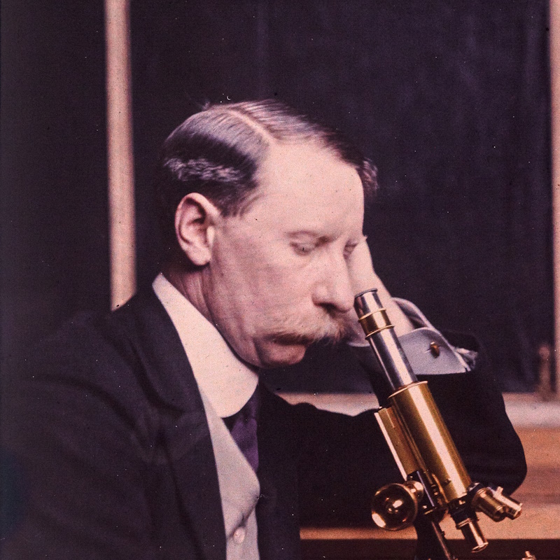 Colour glass plate portrait of A A C Swinton (detail)