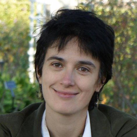 Mihaela van der Schaar photograph