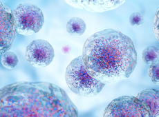 Cells