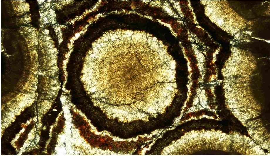 Colloform sphalerite from the Lisheen deposit which was mined for zinc and lead