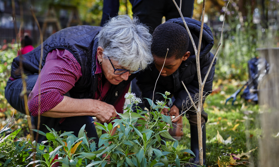 an elderly woman and a young boy are in a garden closely observing a plant