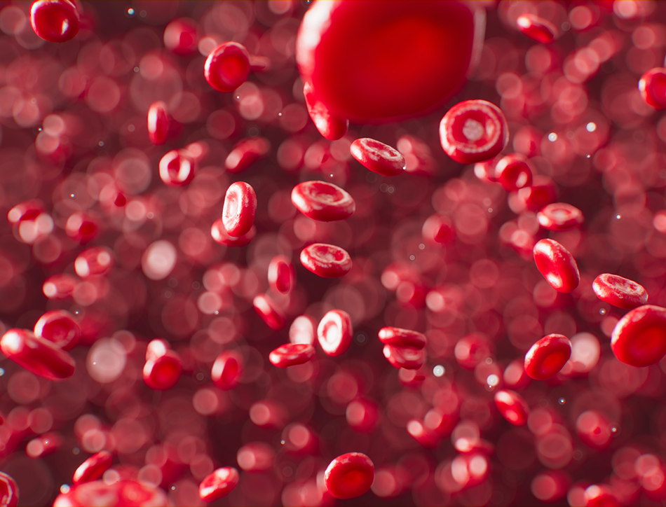 Lightning talk - How we make blood