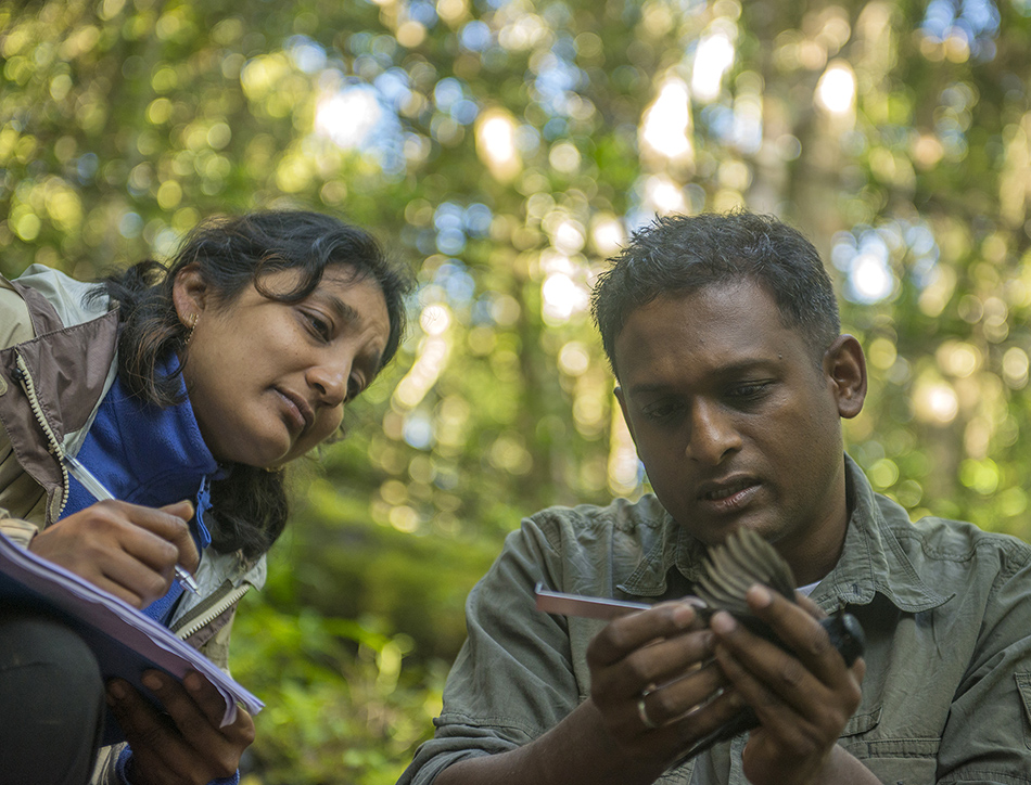 National Geographic explorers