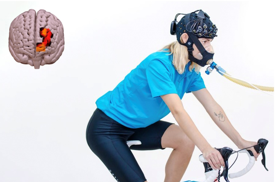 If I get fitter, will by brain work better?