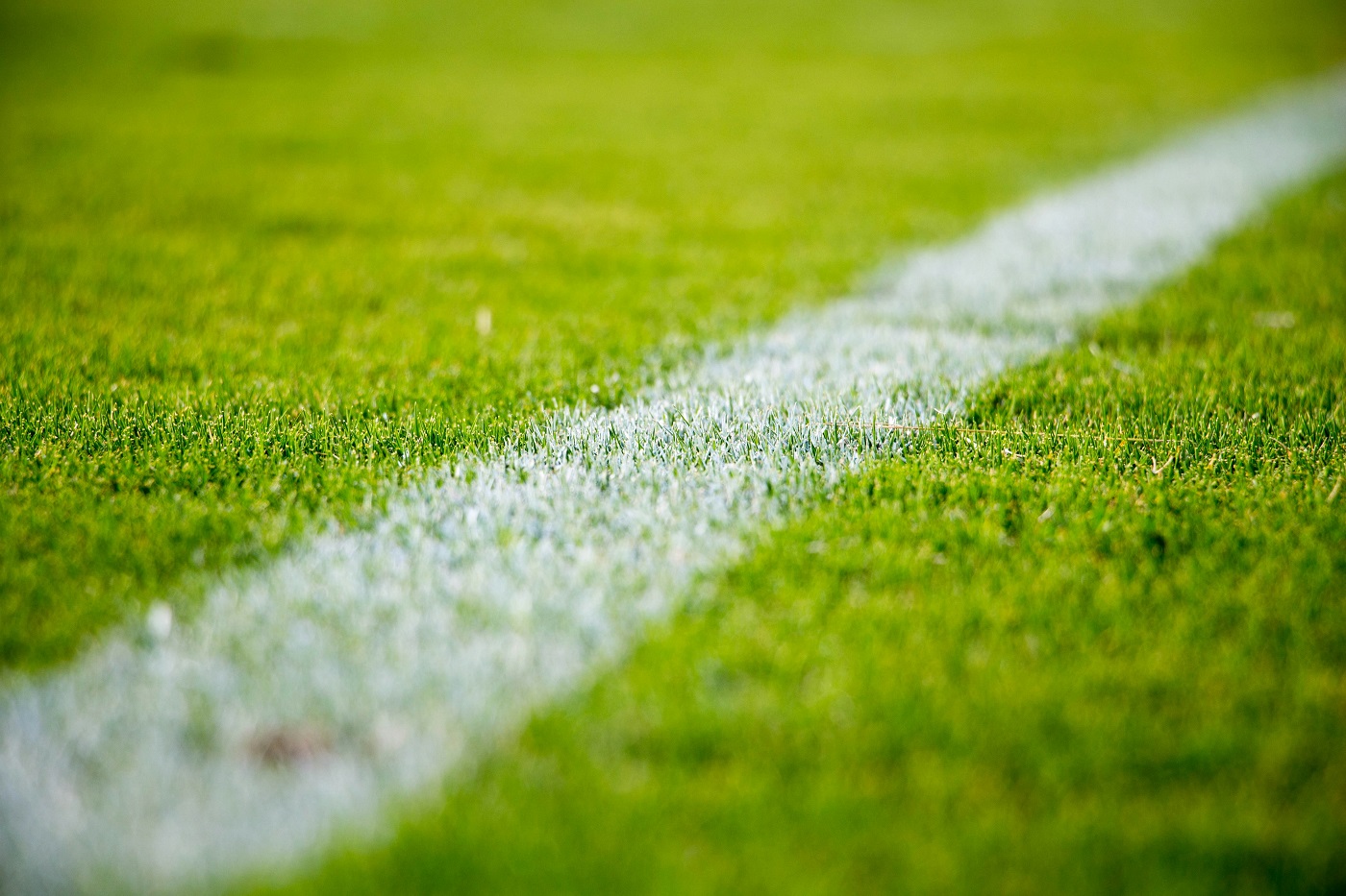 synthetic turf surface