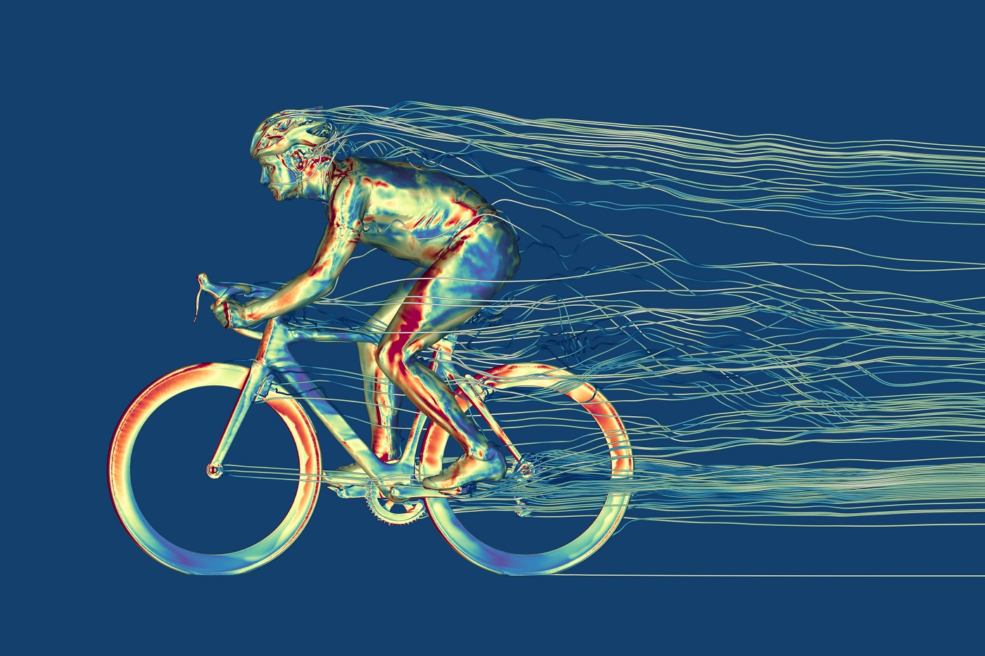 Sheffield Hallam University - Cyclist